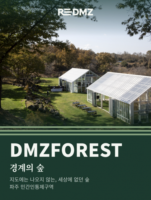 Re:DMZ 캠페인 비주얼. ‘경계의 숲’이라는 이름으로, 지도에는 나오지 않는 민통선 안 DMZ숲의 풍경을 담았다