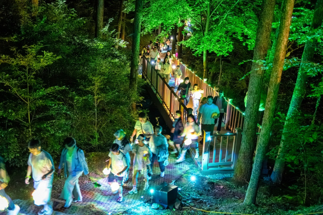 2026년 가야산 나이트 트레킹을 즐기는 참가자들