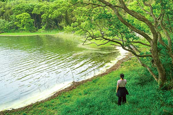 120m 산에 청정 원시림…비결은 '45년 입산금지' [지도 위를 걷다 청암산·전북천리길 구불길]