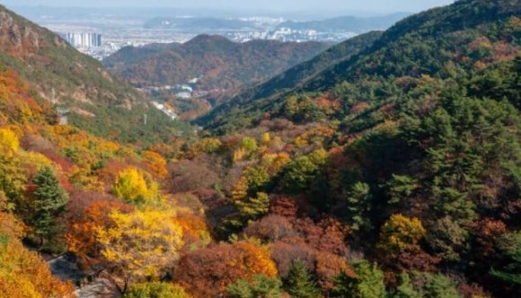 [속보] 경북 구미 금오산서 10대 여학생 추락⋯병원 이송