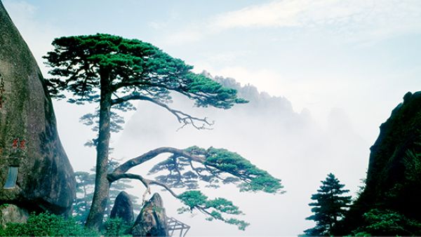 동양의 미학, 꿈결 같은 풍경… 황산에서 3박 4일, 나만의 ‘인생 영화’를 찍다