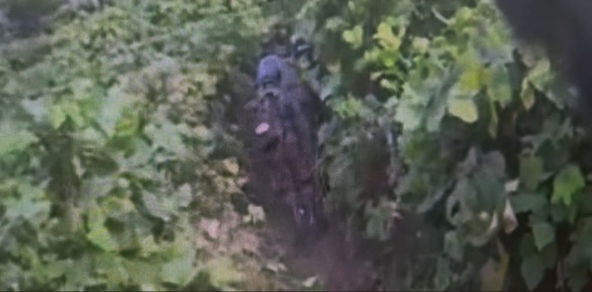 軍·유엔사, DMZ 폭발지점 도달 못 했다…“추가 조사 예정”
