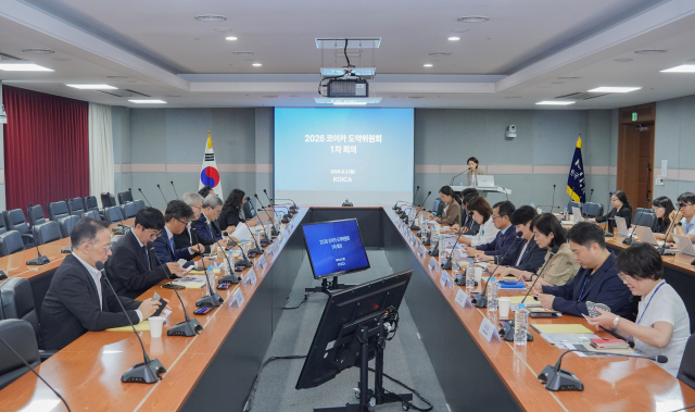 3일 경기도 성남시 코이카 연수센터에서 열린 ‘코이카 도약위원회’ 회의에서 위원들이 의견을 나누고 있다