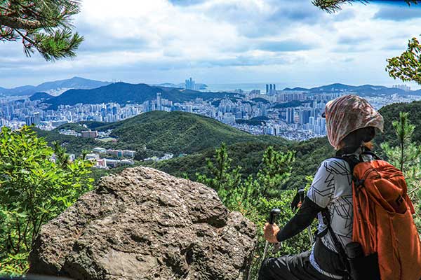 삼각점이 있는 504.1m봉은 전망이 좋아 산과 도시와 바다가 원없이 펼쳐진다.