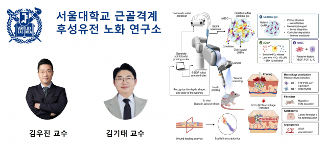 서울대학교 근골격계 후성유전 노화 연구소 김우진 교수(왼쪽)와 김기태 연구교수. 오른쪽은 이번 연구의 핵심 개념도로, AI 비전 기반 로봇(INSIGHT)이 당뇨병 상처를 인식해 산소 방출·면역조절 바이오잉크를 현장에서 직접 인쇄하고, 대식세포의 M1→M2 전환을 유도해 상처 치유를 촉진하는 과정을 보여준다