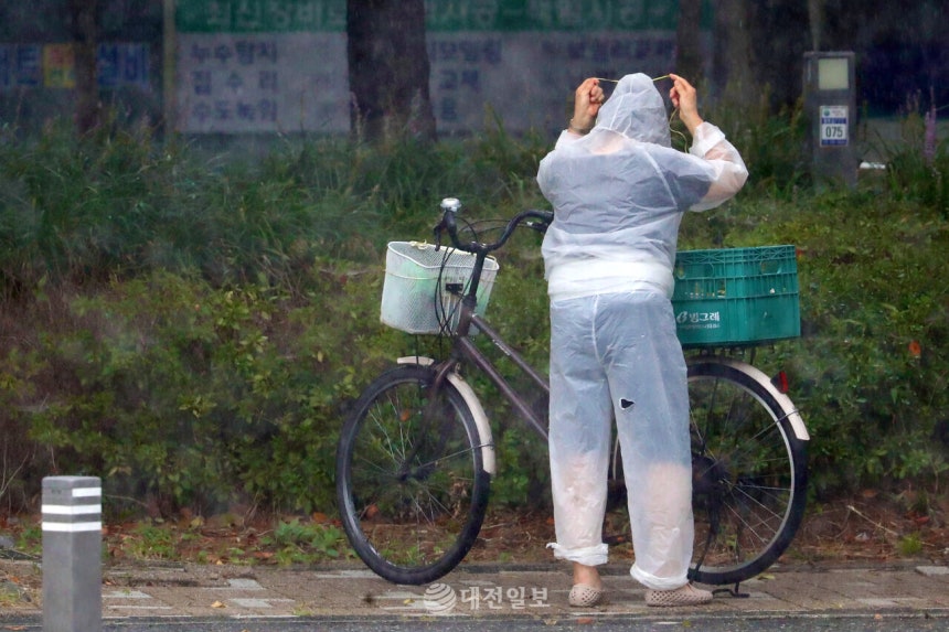 대전일보DB