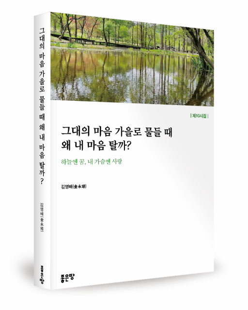 김영배 지음, 좋은땅출판사, 284쪽, 1만9000원