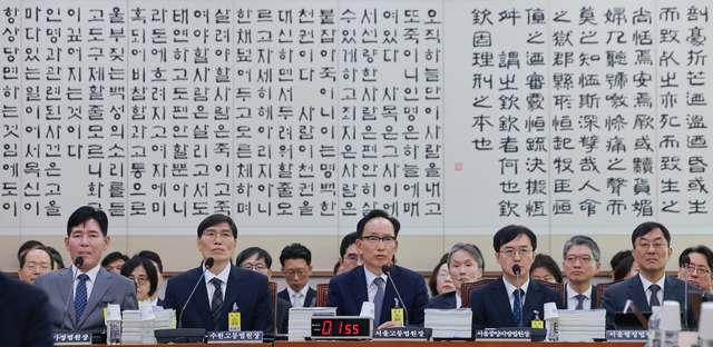 [속보] 30대 여성 이혼소송 중 주소 노출돼 살해…서울고법원장 “제도개선”