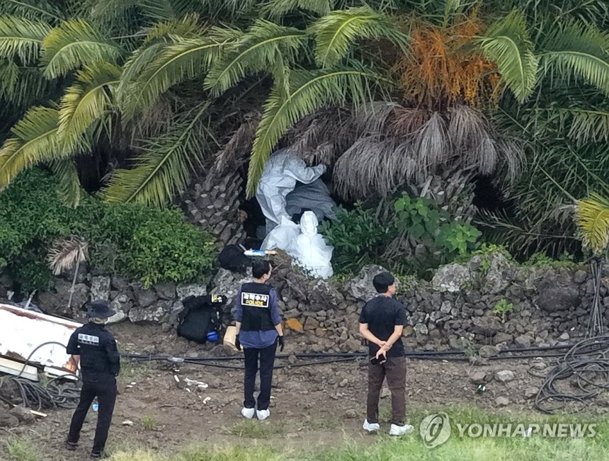 ◇경찰이 24일 제주시 한림읍 수원리의 야자수 농장에서 수개월 전 실종됐던 장미란씨로 추정되는 시신을 발견해 현장 감식을 진행하고 있다. 2026.8.24
