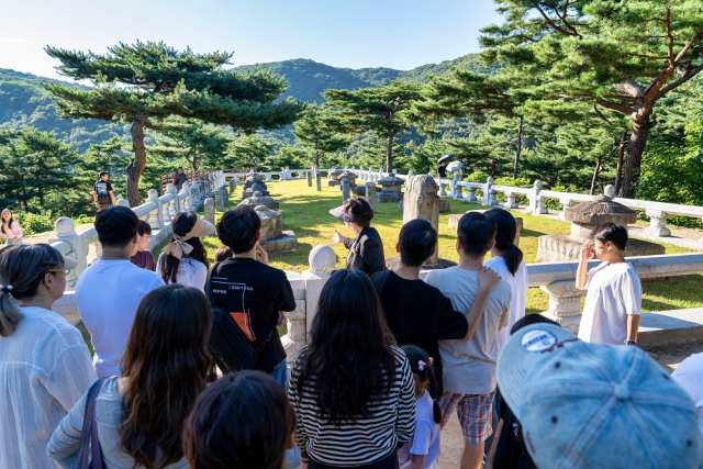 대규모 예산 투입 없이도 매진 행렬… 야간 콘텐츠로 승부한 성주군 야간관광