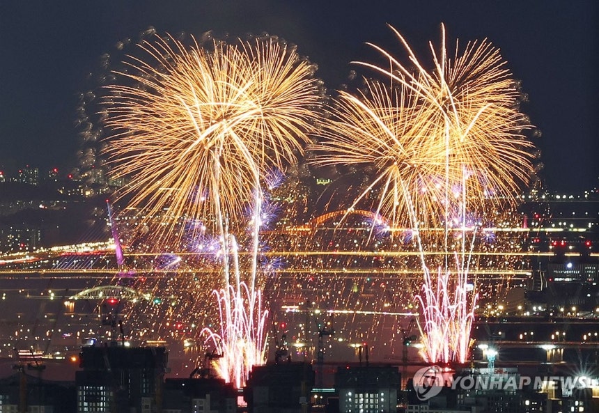 화려한 불꽃축제 이면에는…초미세먼지 폭증·조류 떼죽음 연구도