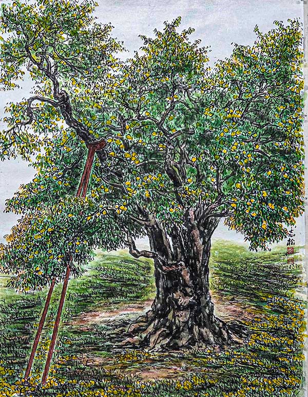 97×74cm. 한지에 수묵담채. 수령 약 500년으로 수많은 세월을 보내며 줄기와 몸통의 꿈틀대는 듯한 표면은 화석처럼 단단하다. 아직도 열매가 풍성하게 열린다.