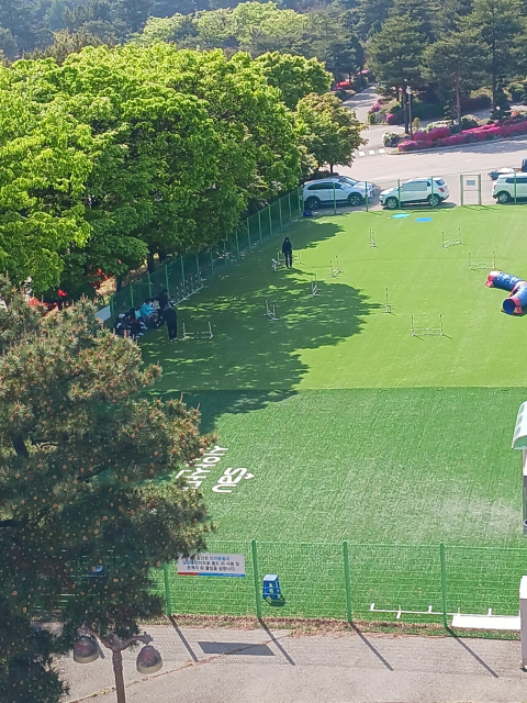 신안산대학교 반려동물과 야외 훈련장 전경. 반려동물 행동·훈련 및 실습 교육을 위한 야외 교육공간으로 운영되고 있다