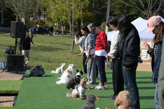 ‘반려견과 함께하는 선명상 축제’ 공식 포스터